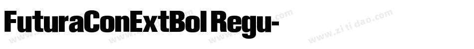 FuturaConExtBol Regu字体转换